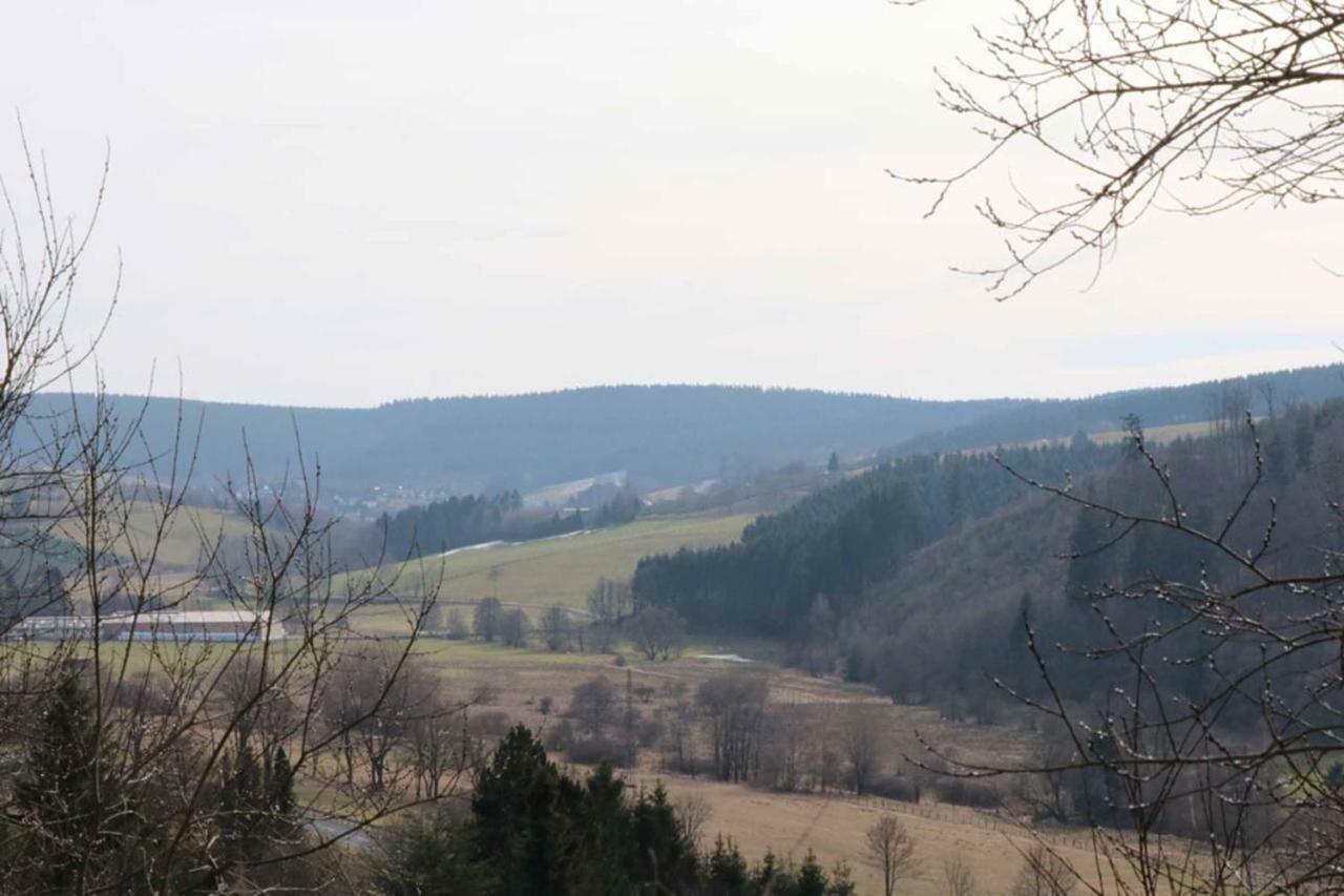 Haus Ani Winterberg Villa ภายนอก รูปภาพ