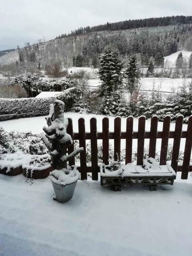 Haus Ani Winterberg Villa ภายนอก รูปภาพ