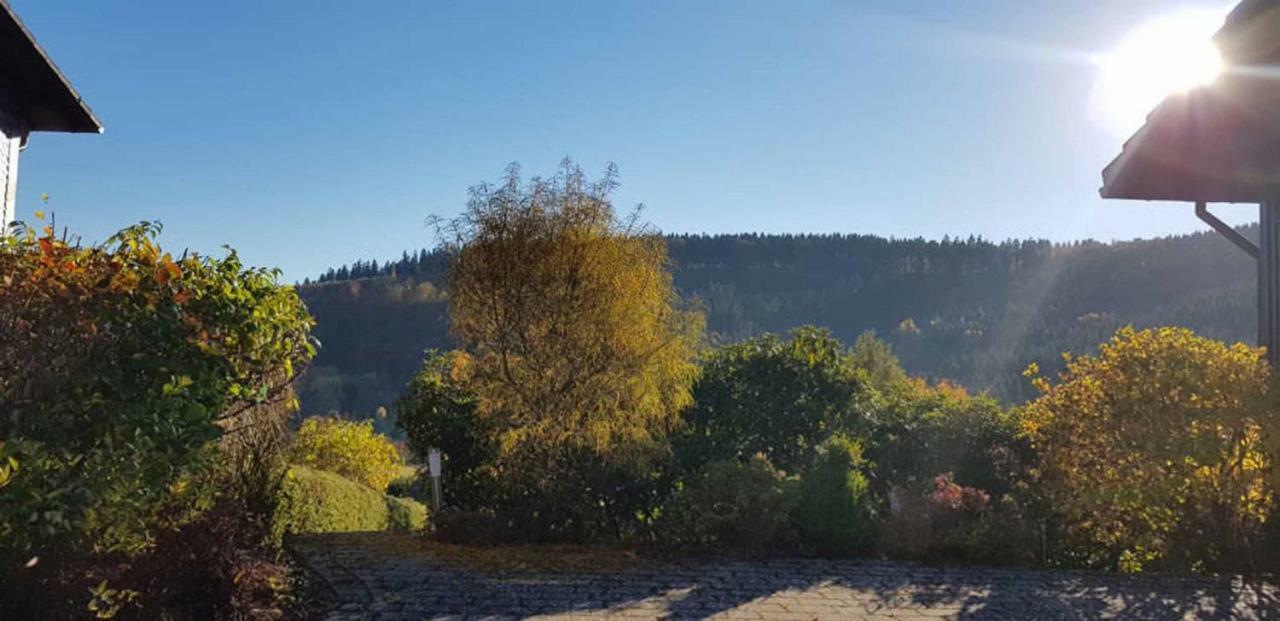 Haus Ani Winterberg Villa ภายนอก รูปภาพ